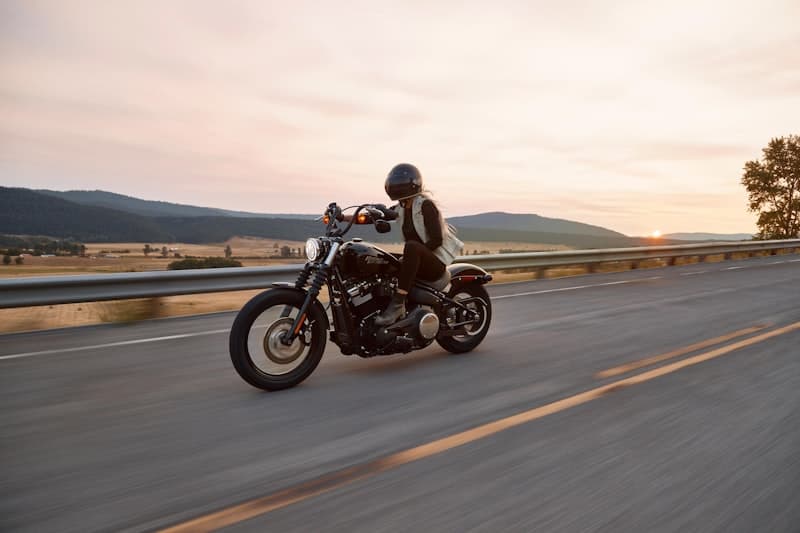 Royal Enfield Himalayan 450 Expedition Motorcycle